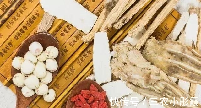 中药|肾气不足, 可以试试这些中药, 但是要分清阴阳