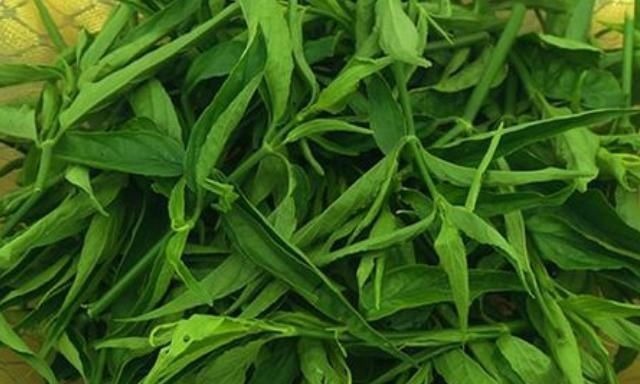 老烟民|“这种草”被称为是老烟民的“救命草”，还是抗癌奇草，你认识吗