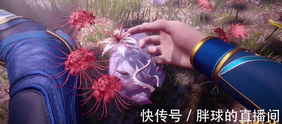 万年魂环|斗罗大陆：唐三要复活小舞，无论哪个条件，没有封号斗罗级别不行