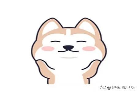 |幽默笑话:公司3周年,女老板把具体事宜安排了一下