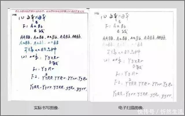 高考试卷扫描后什么样评卷误差怎么回事注意这些，考前多得20分