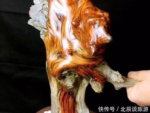 玩家|买了块崖柏料,邻居笑像航母,打磨出了妖艳虎皮纹