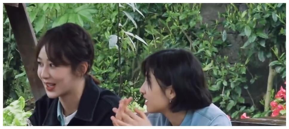 张艺兴|黄磊吓唬杨紫辟谷,杨紫卖惨哭唧唧,张艺兴大秀厨艺讨好她