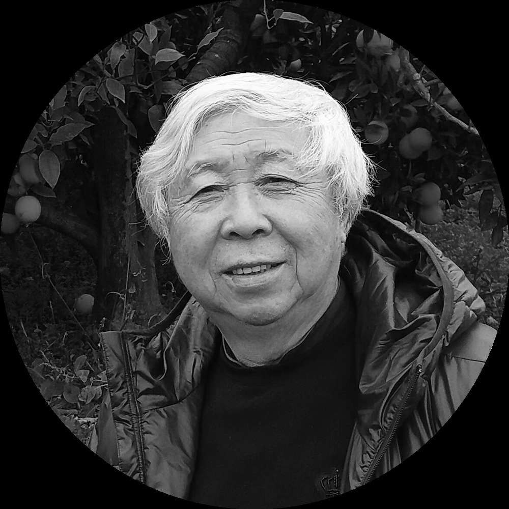 艺术|江山如画——中国画名家邀请展