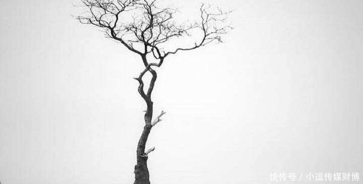 金狗|我们绝对不能浮躁