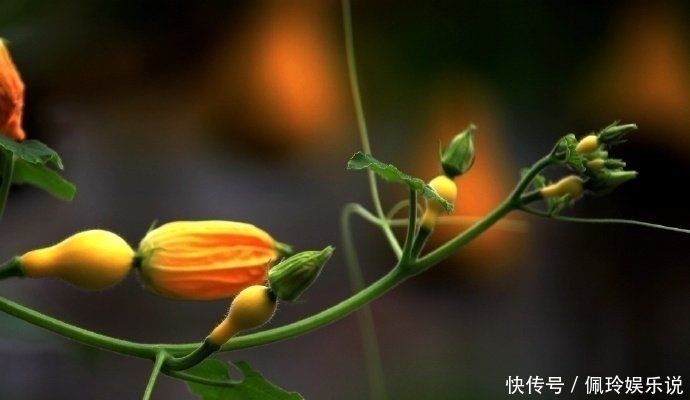 鬼谷子识人术一个人有没有出息,看这三点就够了