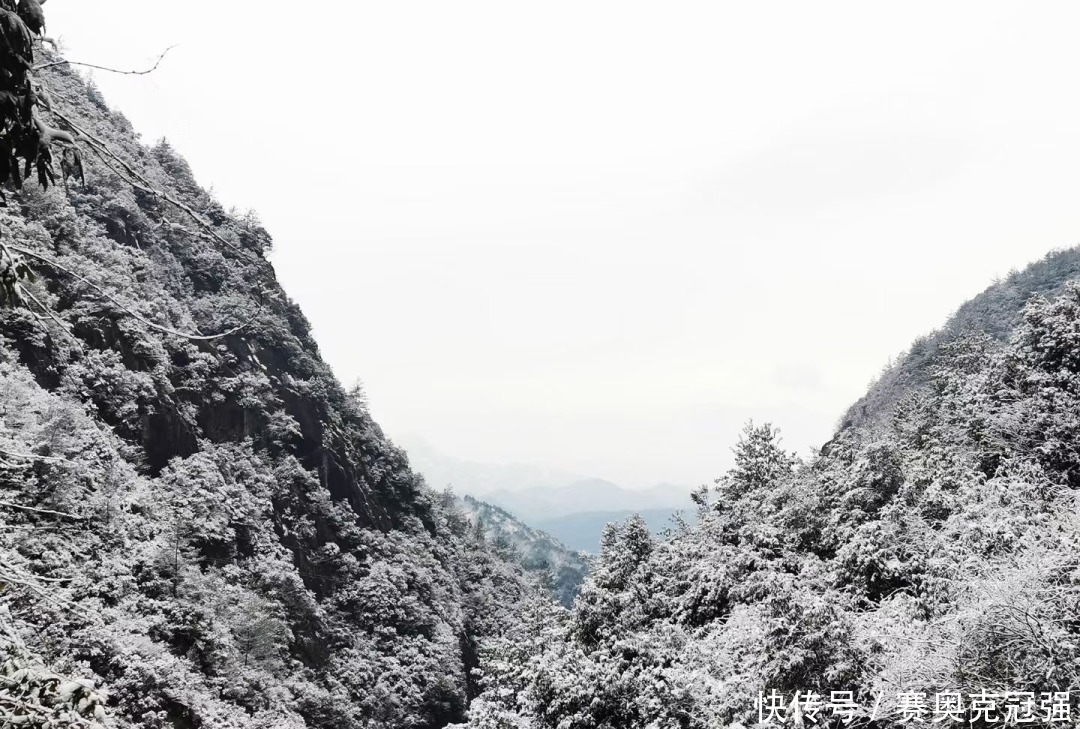  下雪|绩溪下雪啦！朋友圈已被刷爆！