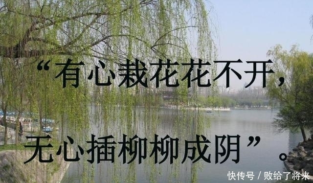 历史|历史当中那些不经意间的成就到底是运气还是实力?