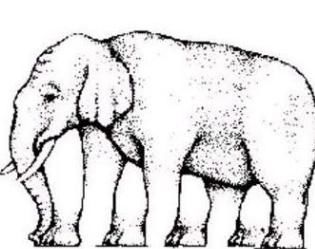 头脑|最新老年痴呆测试:图中大象一共有多少条腿?答对的人头脑很聪明