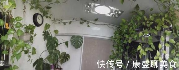 把花养在卫生间，看看我隔壁邻居家，绿萝爬满屋，像热带雨林