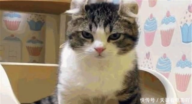 俗语|老祖宗俗语“四最毒,四最喜,四最膈应人,”都是啥