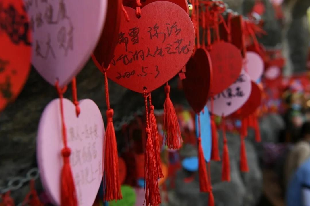 石海喜迎八方客,安全有序度新春|春节黄金周| 黄河流域