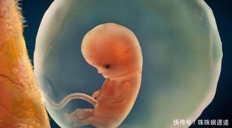 妈妈|孕早期,胎儿3个月都在忙些什么?看完心都被他萌酥了