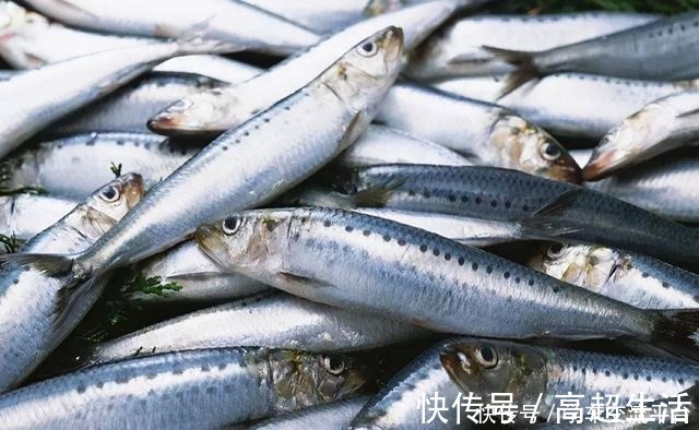 这4种海鱼值得大家一吃！比猪肉营养，独具鲜美还便宜，别错过！