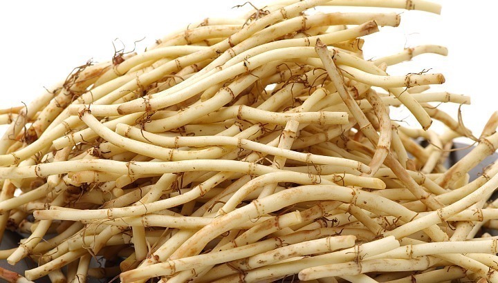 清洁工|“中药抗生素”的鱼腥草不仅营养价值高，还有肺部清洁工的称号！