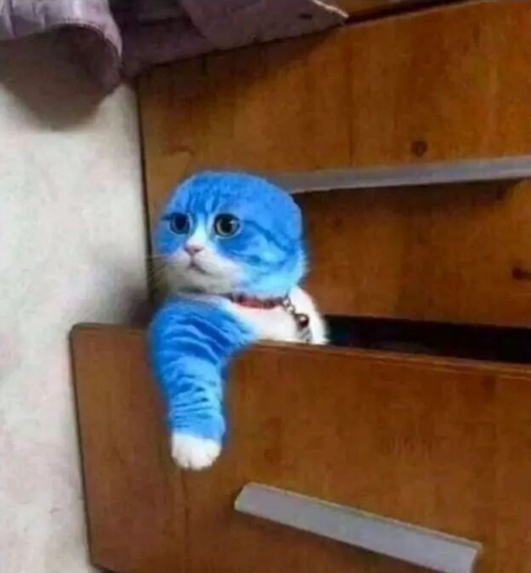 宅男|小猫弄坏手办爱好者拼起来的哆啦A梦,之后会怎么样?小猫呆了