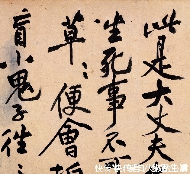 沈周@他独创“荡桨笔法”,字法奇宕,龙搏虎跃,又一个“草圣”级人物