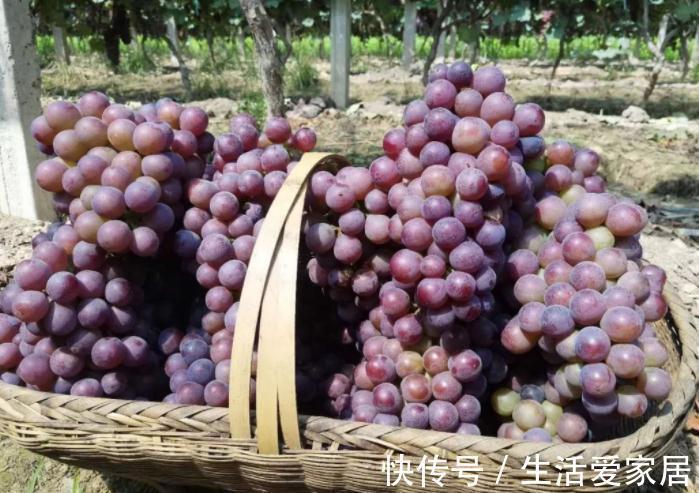 去秋燥|秋分后,有钱没钱,记得多给家人吃这3种碱性食物,帮助去秋燥!