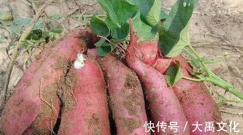癌細胞|為何癌癥患者越來越多，醫生告誡5種食物最好少吃，為健康忌口