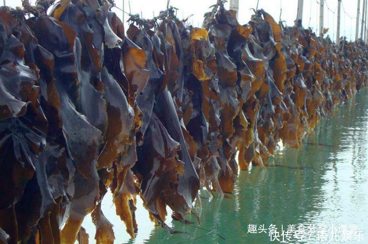 怪不得饭店的凉拌海带丝那么好吃,原来有秘诀,学会做给家人吃