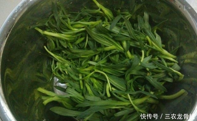 食用价值|农村麦地里的''甜甜菜'',城里人当杂草,殊不知功效丰富价值珍贵