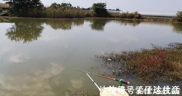 浅水|冬季钓鱼，何时钓深何时钓浅？鱼窝这样找，深浅都上鱼！