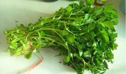 食物|肺部“大救星”,5种食物每天吃一点,清肺毒养肺更润肺