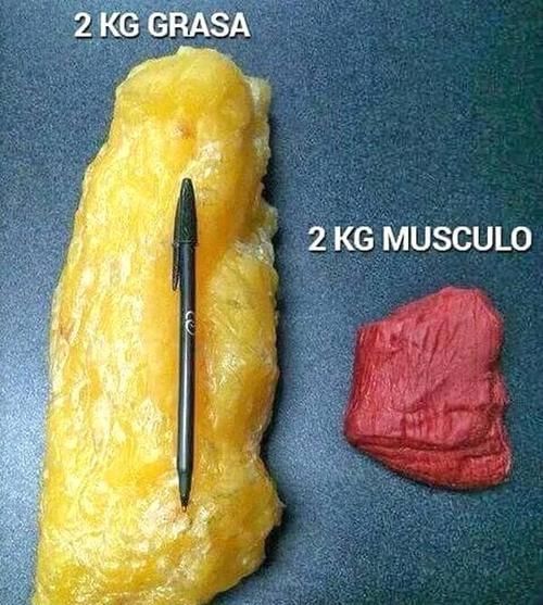 力量训练|节食减肥不利健康又容易反弹,合理饮食加运动,月减10斤不反弹