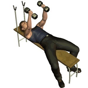 胸肌|上斜卧推末尾,加入1个哑铃飞鸟动作,更有效刺激上胸肌肉