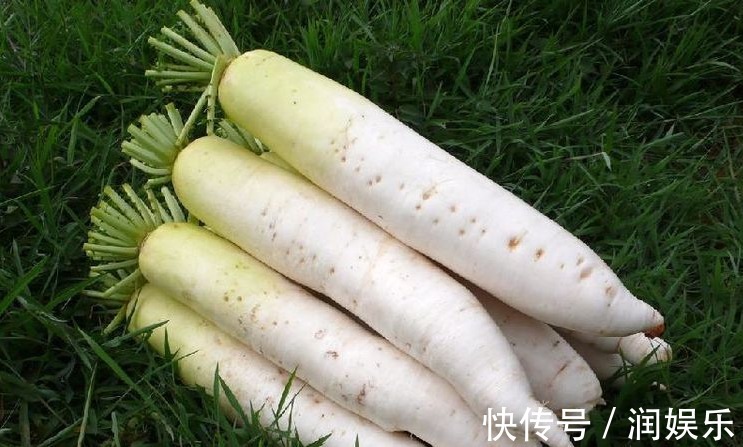 动物蛋白|常吃以下几种蔬菜，能排毒消脂，顺气化痰，健脾利湿，效果显著