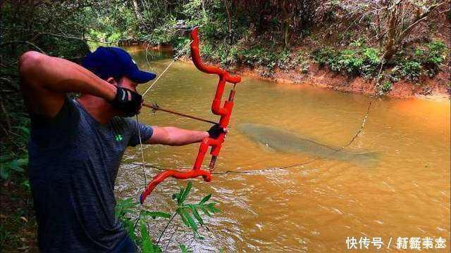 捕鱼|老外用水管做弹弓来捕鱼,会有怎样的收获?网友:关键看技术