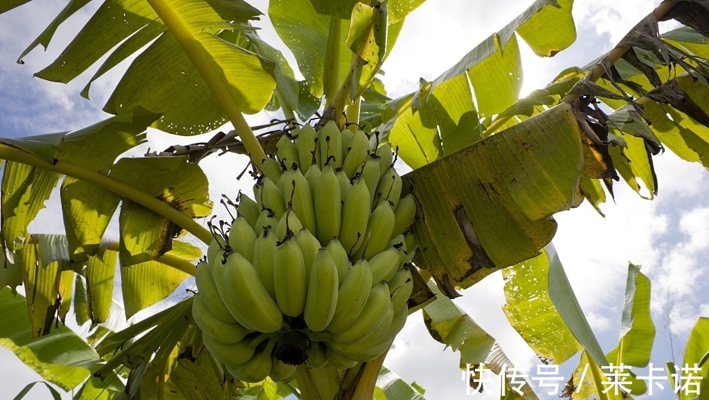 20个冷知识：真实存在于我们的生活中，趣味十足的奇怪知识