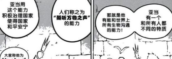 世界政府|海贼王:乔艾莉·波妮竟然是暴君熊的母亲,信息量太大