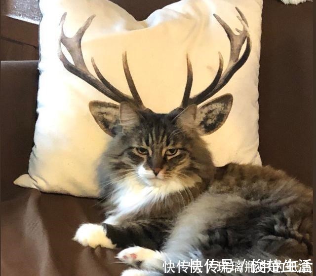 沙雕|日本网友制作沙雕手办,最后一张图太辣眼睛了!