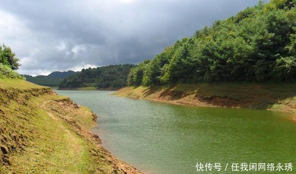 鱼群|冬季钓鲫鱼，避开这四种钓位，这里下钩10有9空！