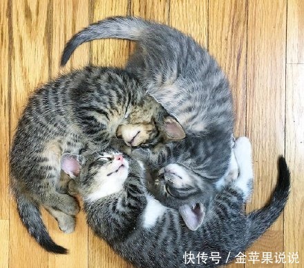 猫咪|火影趣味COS红绿灯开启写轮眼，千代婆婆现身街头表演傀儡术