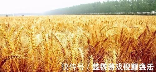 祁连山&中国古书上常说的河东、河西,到底是什么地方?现在在哪里?