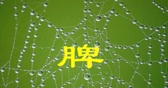 温阳|“脾虚百病生”，脾虚的人，注意三个方面健脾，常吃三物做三事