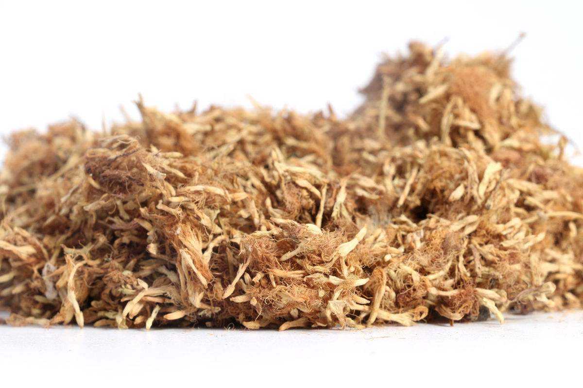 有心人|一味中药，让你不生气、不焦虑、不悲伤、不抑郁，送给有心人！