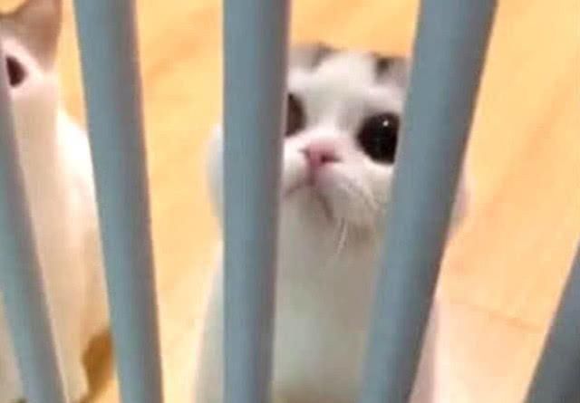 女主渣化之路完结版txt