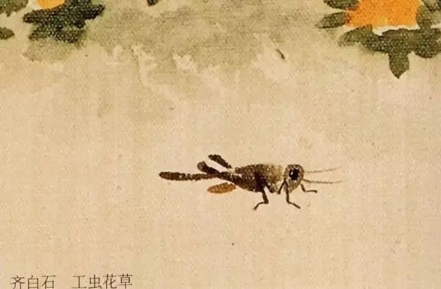 蝈蝈$国画技法图典——草虫篇:蝗虫 蚂蚱 蝈蝈 螽斯 螳螂 蟋蟀