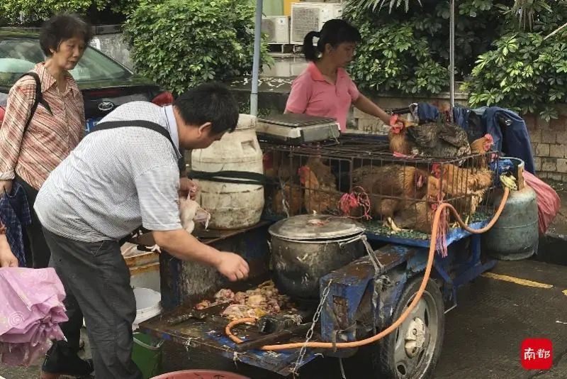 广东三九脑科医院|女子突发头痛抽搐，险丧命！曾办乡宴杀鸡