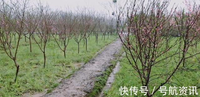 宠物|向往的生活嘉宾们惬意干净的农村生活,还有你没看到的另一面