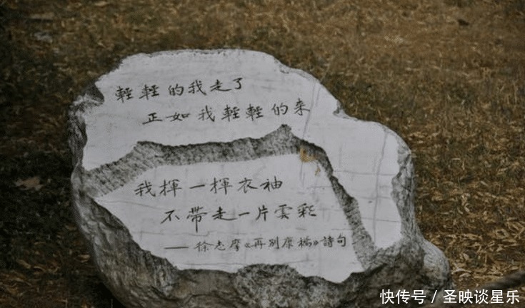 生活|再婚后徐志摩生活窘迫,找张幼仪借钱,每次张幼仪都会说同一句话