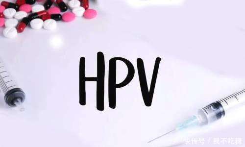  低危型别|hpv检查与各型号简单介绍，hpv检查是什么？