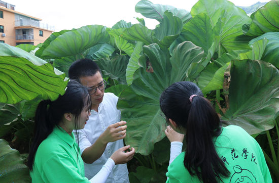 闽南师范大学|趁暑期，去实践