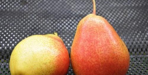 美容養(yǎng)顏|適合女性吃的三種食物,美容養(yǎng)顏,延緩衰老,令肌膚保持光澤美麗