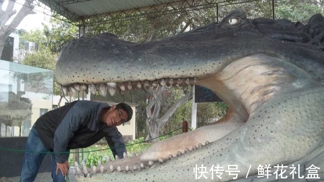 神话故事$神话中的载人巨龟被发现,长5米重6吨,《西游记》没有骗人