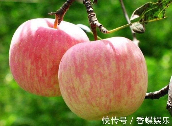美容|苹果被称为最好的“养生果”,除了美容养颜,竟有如此多的好处!