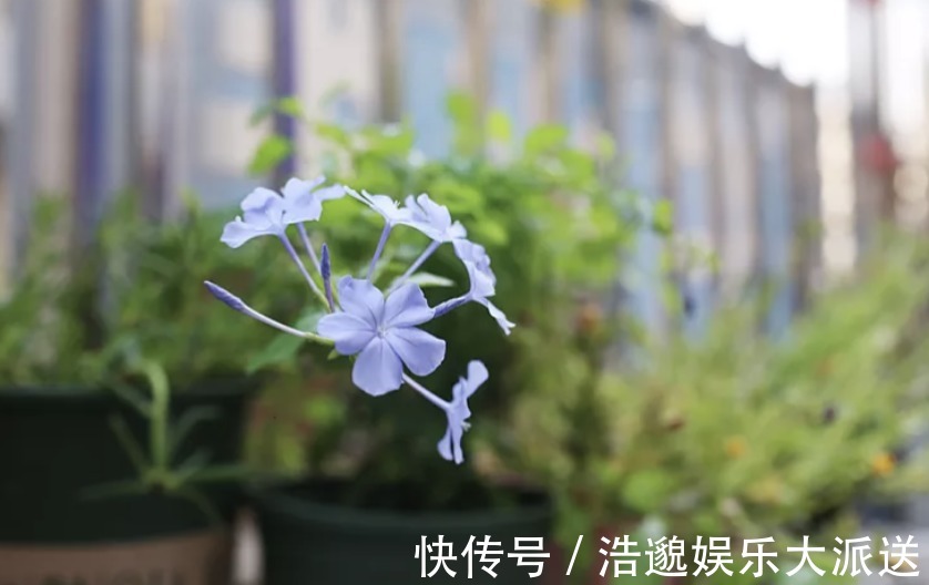 改造|30㎡房屋大改造，装出“3房1厅”，功能强大，太实用了